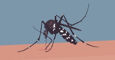 ডেঙ্গুতে দেশে রেকর্ড মৃত্যু