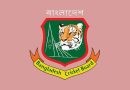 বিসিবি পরিচালক পদে জয়ী হলেন যারা