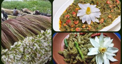 শাপলা ও কলি খাবার উপকারিতা